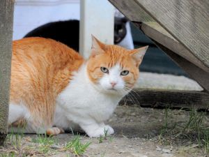 Curtis Bild von Curtis