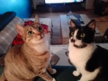 Naana Bild von Naana