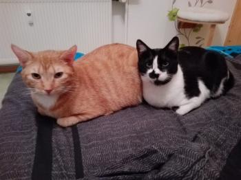 Naana Bild von Naana