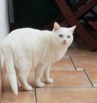 Yaiza Bild von Yaiza