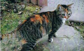 Lola Bild von Lola