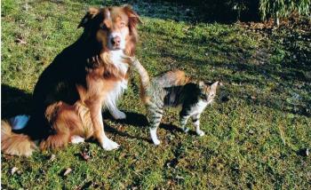 Lola Bild von Lola