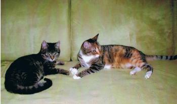 Lola Bild von Lola