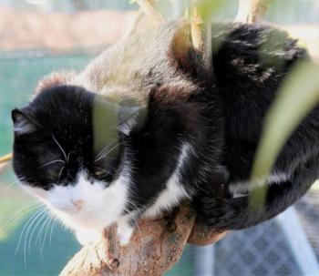 Pepa Bild von Pepa