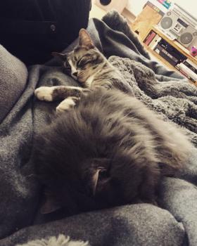 Bonni Bild von Bonni
