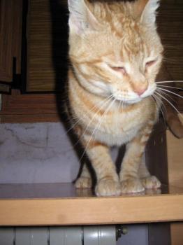 Terry Bild von Terry