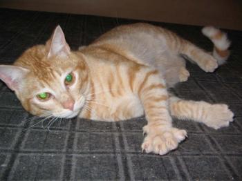 Terry Bild von Terry