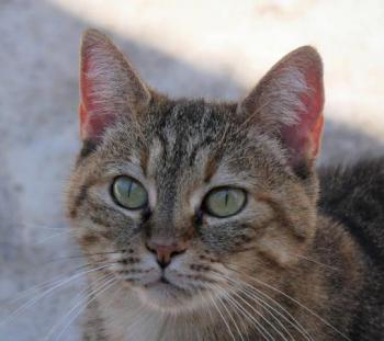 Hannah Bild von Hannah