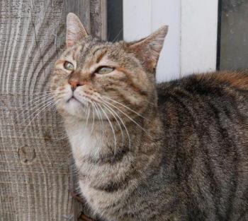 Hannah Bild von Hannah