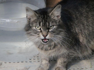 Bela Bild von Bela