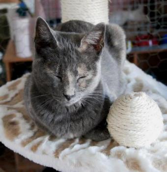 Nala Bild von Nala