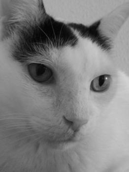 Rony Bild von Rony