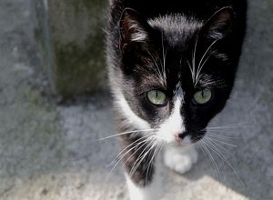 Beti Bild von Beti
