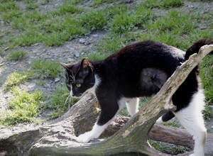 Beti Bild von Beti
