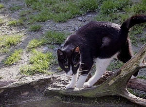 Beti Bild von Beti