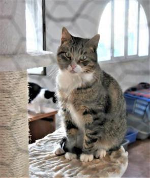 Babechi Bild von Babechi