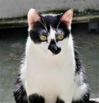Trufa Bild von Trufa