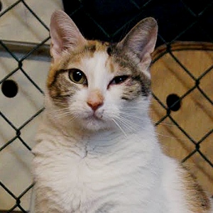 Felicia Bild von Felicia