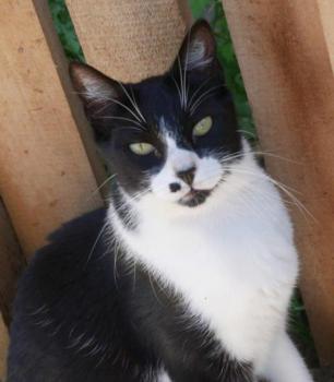 Bascha Bild von Bascha