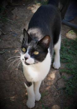 Bascha Bild von Bascha