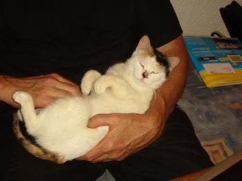 Dolly Bild von Dolly
