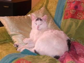 Kiara Bild von Kiara