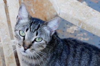 Simon Bild von Simon