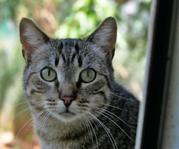 Simon Bild von Simon