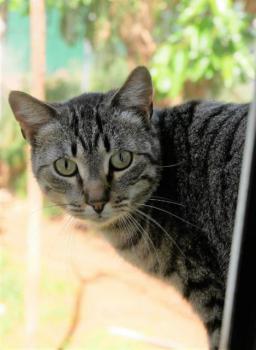 Simon Bild von Simon