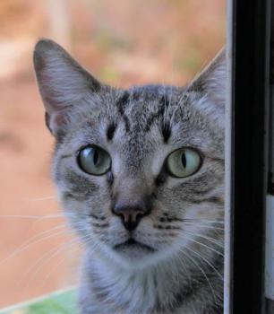 Simon Bild von Simon