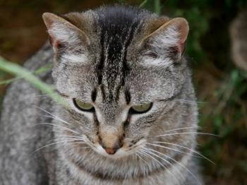 Simon Bild von Simon
