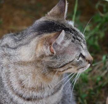 Simon Bild von Simon