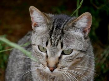 Simon Bild von Simon