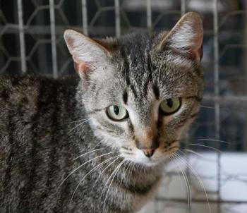 Simon Bild von Simon