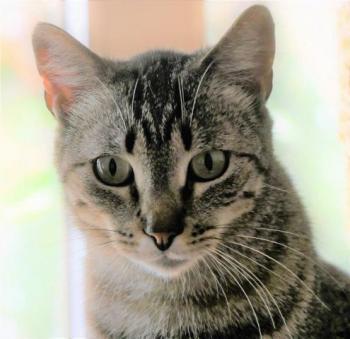 Simon Bild von Simon