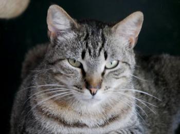 Simon Bild von Simon