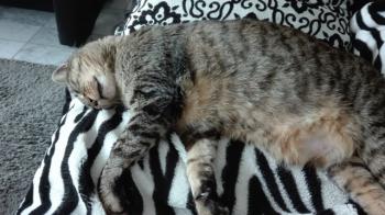 Linus Bild von Linus