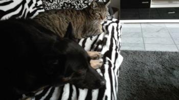 Linus Bild von Linus