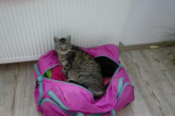 Linus Bild von Linus