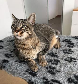 Linus Bild von Linus