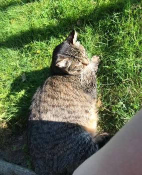 Linus Bild von Linus