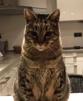 Linus Bild von Linus