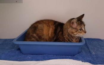 Fame Bild von Fame