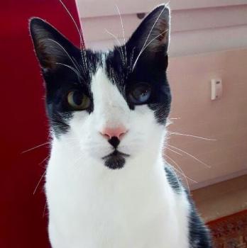 Pablo Bild von Pablo