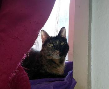 Fifi Bild von Fifi