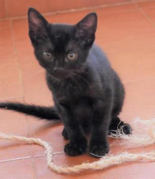 Bild von Aayusha