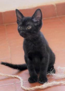Bild von Aayusha