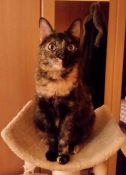 Fifi Bild von Fifi