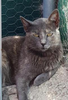 Nala Bild von Nala