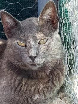 Nala Bild von Nala